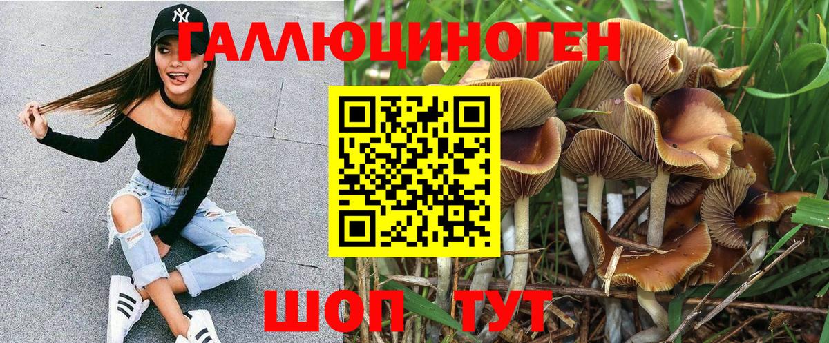 Галлюциногенные грибы Magic Shrooms Казань