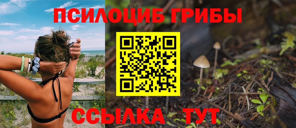 Галлюциногенные грибы Psilocybine cubensis  Вход с VPN  Казань 